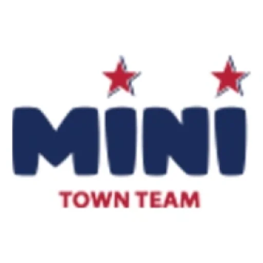 Mini Town Team
