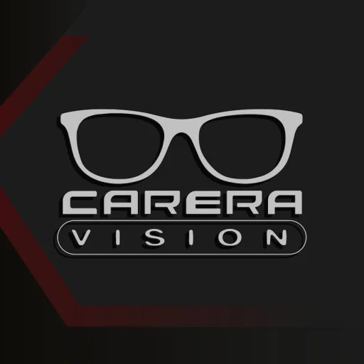 Carera Vision
